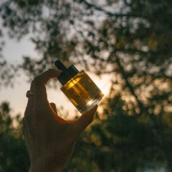 Huile De Jojoba 100% Biologique Pressée à Froid -Dermalogica Boutique 02 22 Encart Inspi Jojoba Oil ROWSE