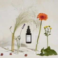 Active Botanical Sérum Huile -Dermalogica Boutique 2020 09 visuel secondaire active botanical serum TINY