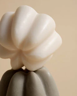 Le Shampoing Solide Doux -Dermalogica Boutique 2023 03 OMC UMAI 2 POST