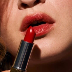 Baume à Lèvres Teinté Hydratant -Dermalogica Boutique Chouchou Formatcarre 1