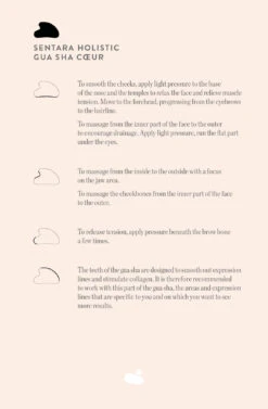 Gua Sha Cœur Quartz Rose à Dents 9 Gua Sha Cœur Quartz Rose à Dents -Dermalogica Boutique Gua sha coeur EN 1