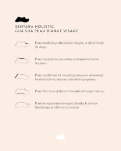 Gua Sha Peau D'Ange Visage 10 Gua Sha Peau D'Ange Visage -Dermalogica Boutique Gua sha peau d ange visage FR
