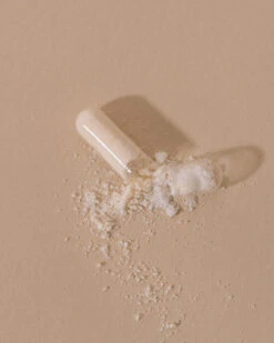 Microbiote & Nombril Compléments Digestion 9 Microbiote & Nombril Compléments Digestion -Dermalogica Boutique Microbiote et Nombril 3