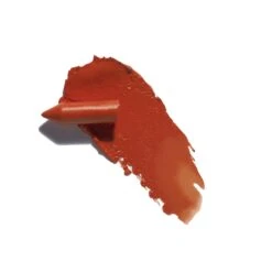 Crayon à Lèvres Crème Satin -Dermalogica Boutique Push It